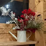 Za Skałą Kamesznica