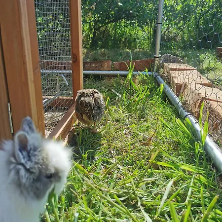 Holiday home Za Skala *