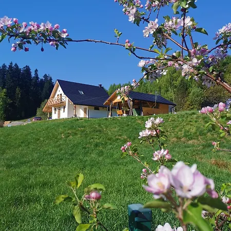 Za Skala * Kamesznica