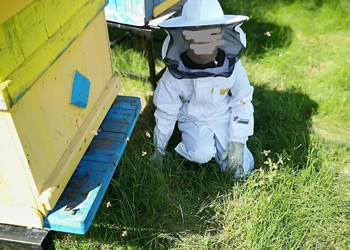 Za Skala * Kamesznica