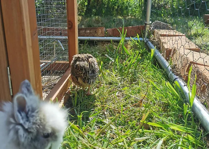 בית נופש Za Skala *